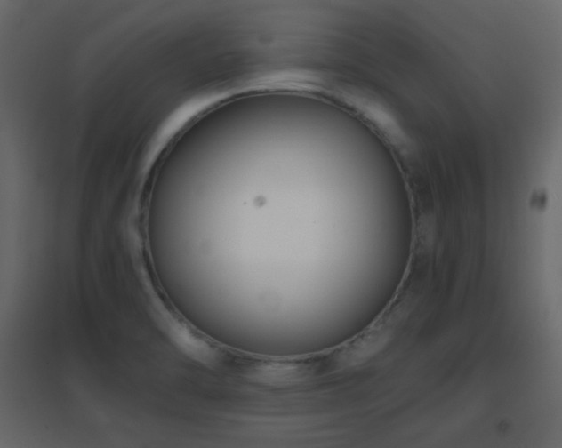 X0000096651470200802051143