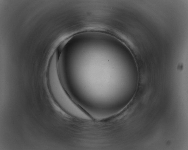 X0000096651471200802051143