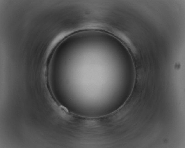 X0000096651472200802051143
