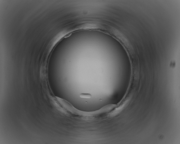 X0000096651473200802051143