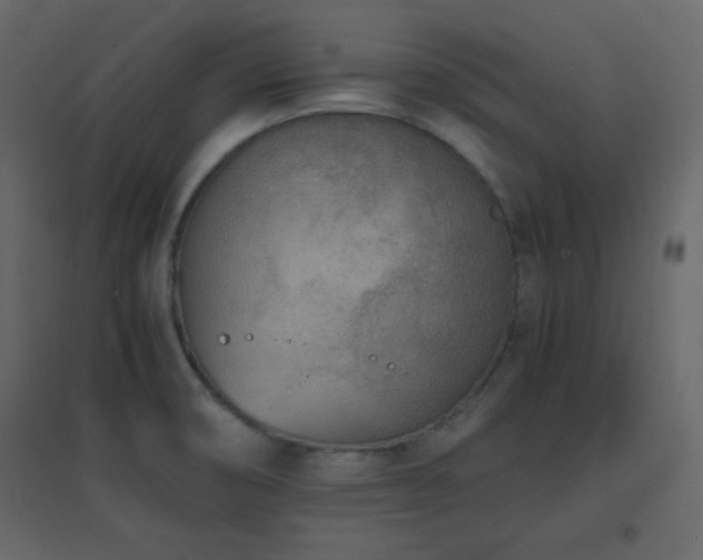 X0000096651474200802051143