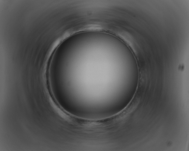X0000096651475200802051143