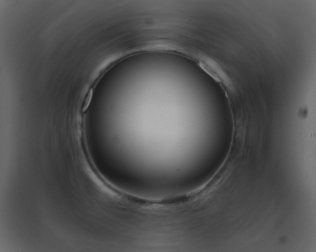 X0000096651476200802051143