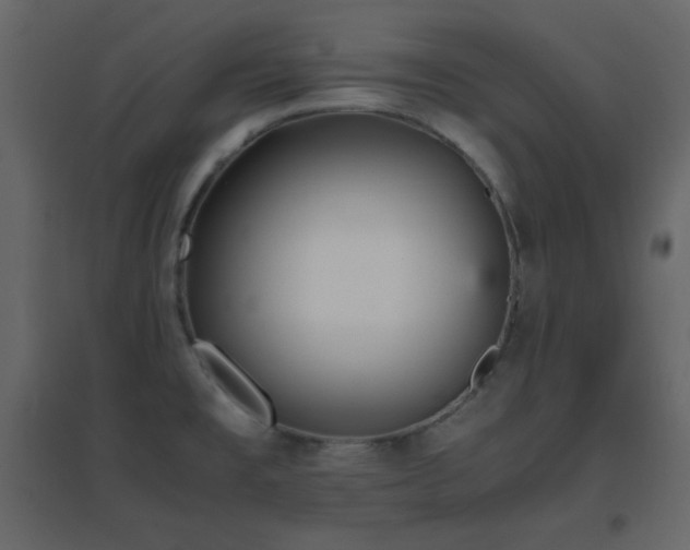 X0000096651477200802051143