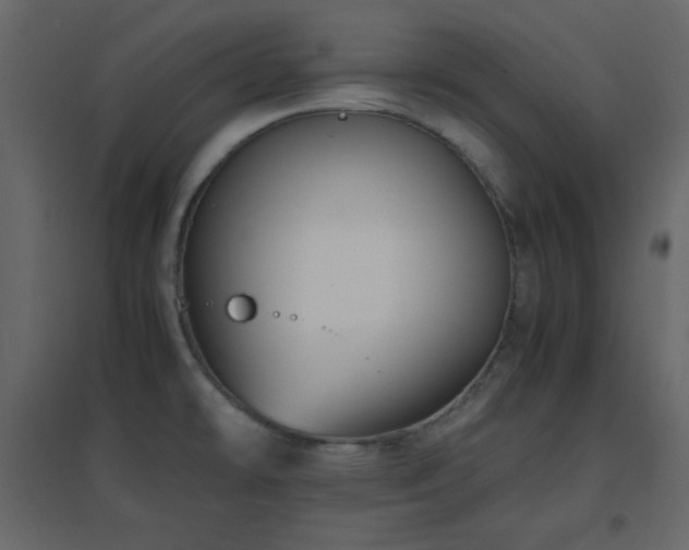 X0000096651478200802051143