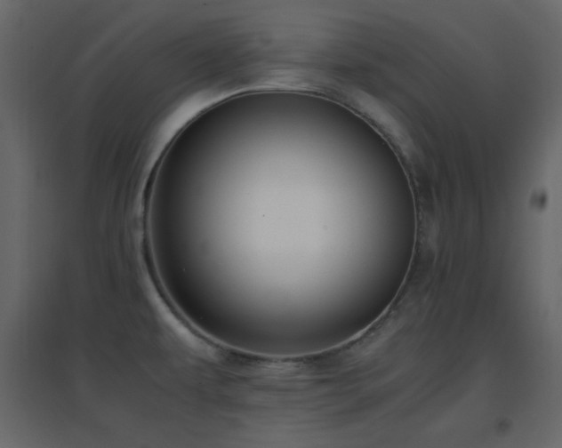 X0000096651479200802051143