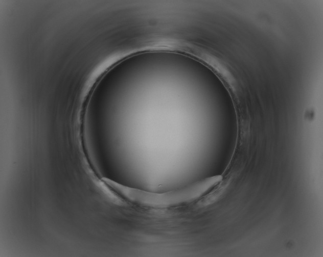 X0000096651480200802051143