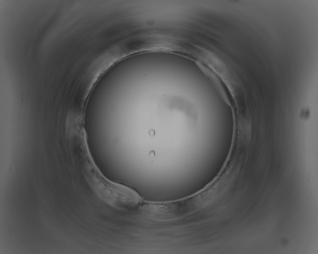 X0000096651481200802051143