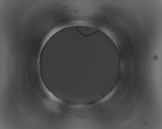 X0000096651482200802051143