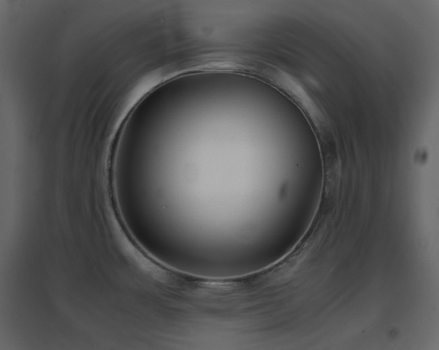 X0000096651483200802051143