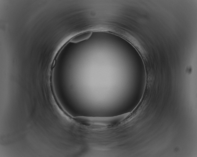 X0000096651484200802051143