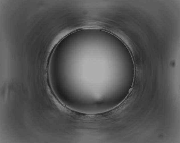 X0000096651485200802051143