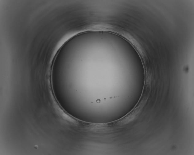 X0000096651486200802051143