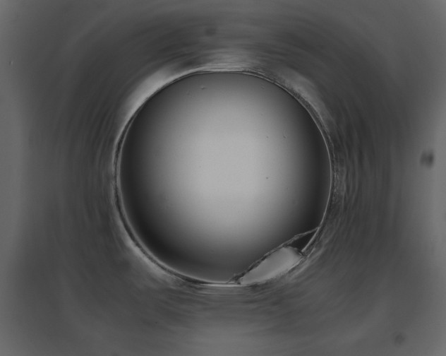 X0000096651487200802051143