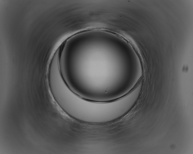 X0000096651488200802051143