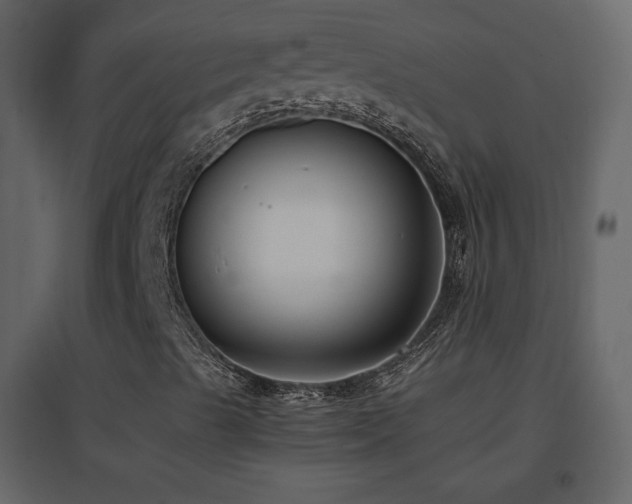 X0000096651489200802051142