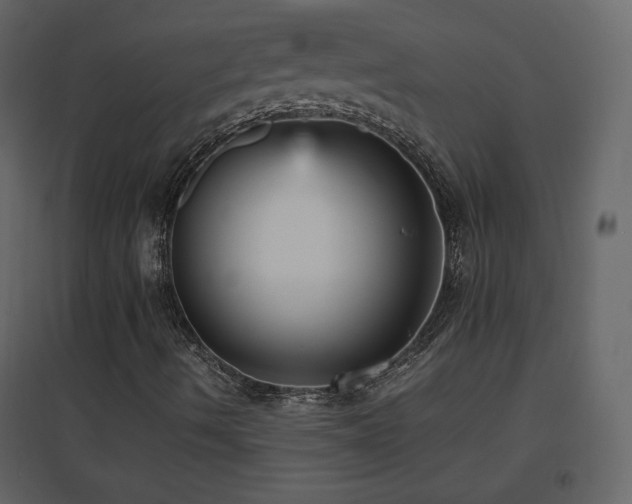 X0000096651490200802051142