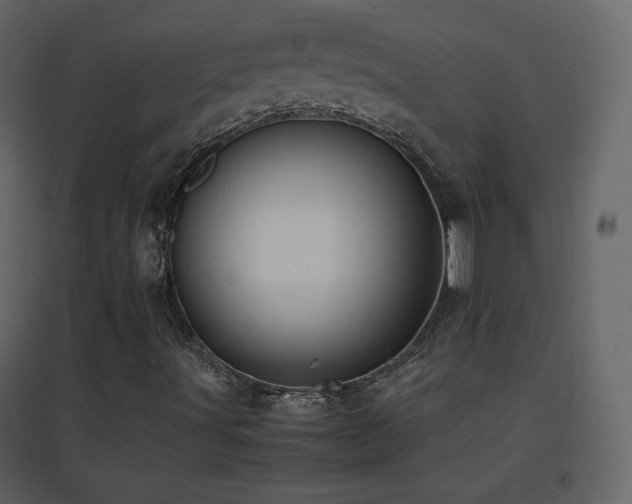 X0000096651491200802051142