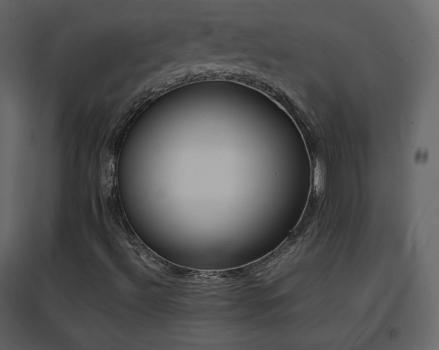 X0000096651492200802051142