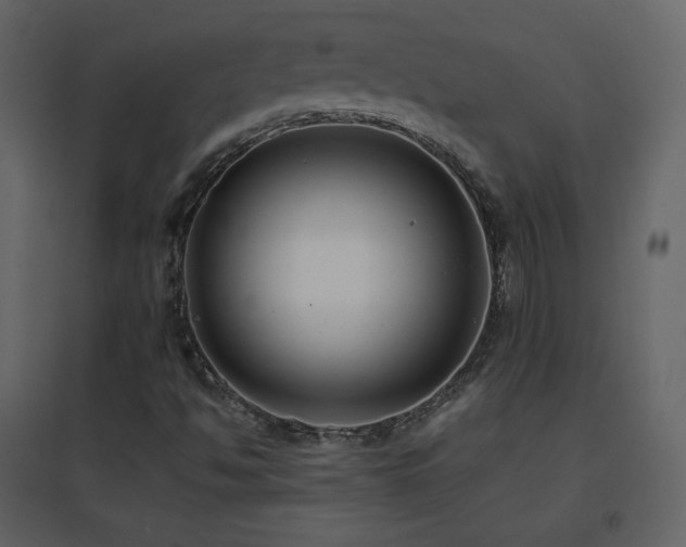 X0000096651494200802051142