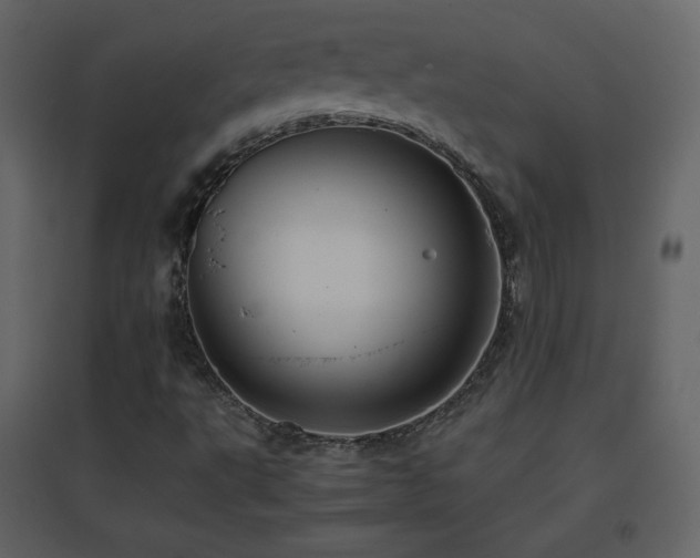 X0000096651495200802051142