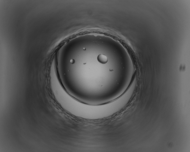 X0000096651496200802051142
