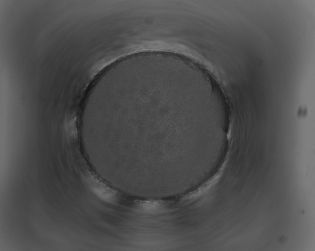 X0000096651497200802051142