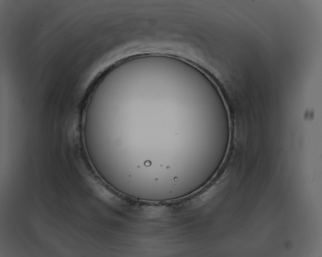 X0000096651498200802051142