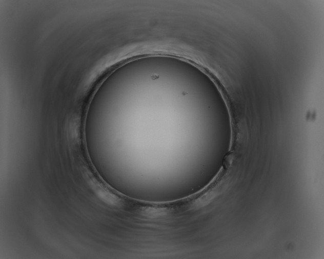 X0000096651499200802051142