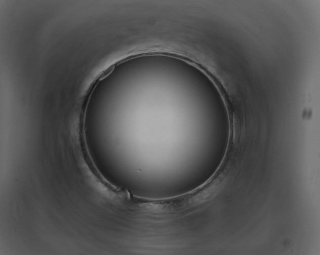 X0000096651500200802051142