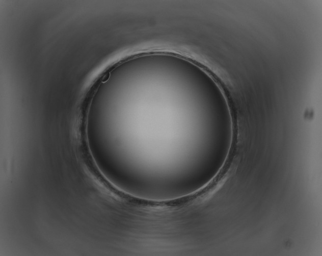 X0000096651502200802051142