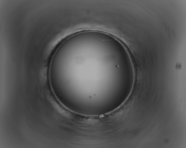 X0000096651503200802051142
