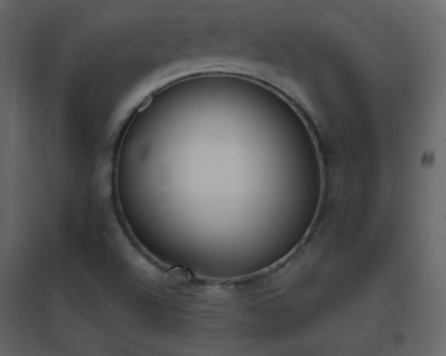 X0000096651504200802051142