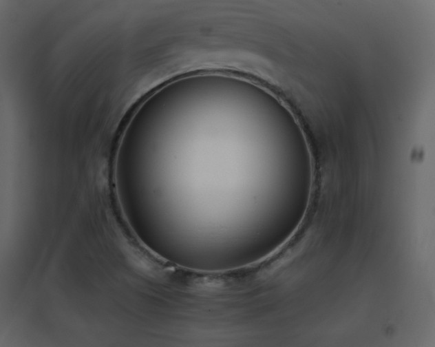 X0000096651505200802051142