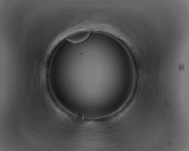 X0000096651506200802051142