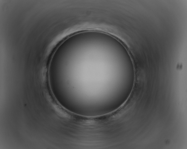 X0000096651507200802051142