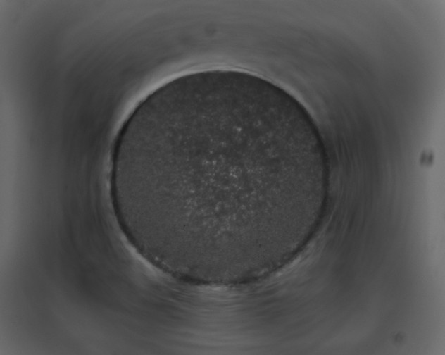 X0000096651508200802051142