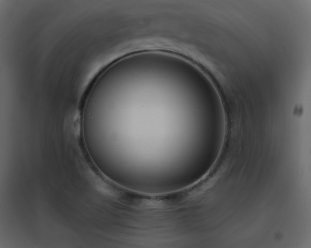 X0000096651509200802051142