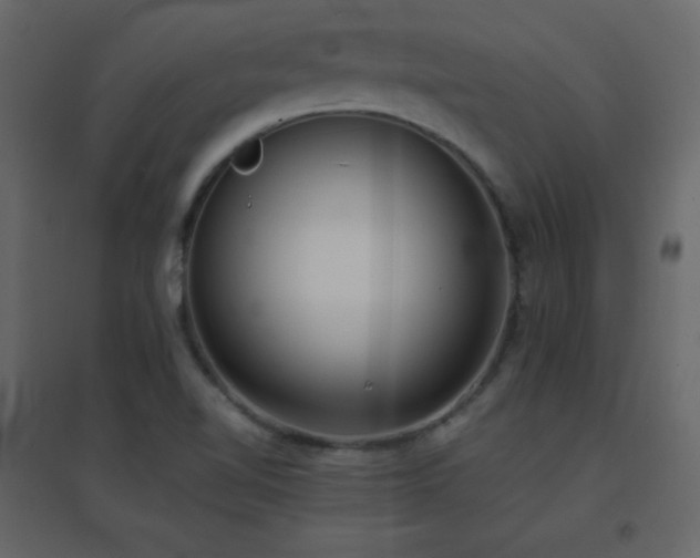 X0000096651510200802051142