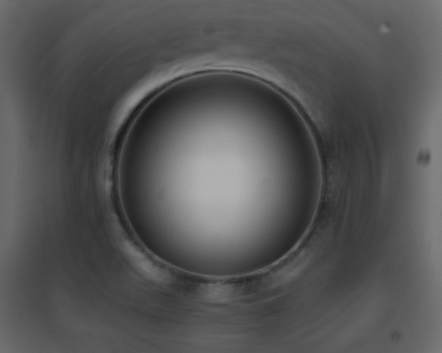 X0000096651511200802051142