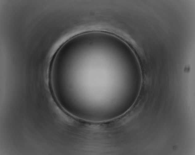 X0000096651512200802051142