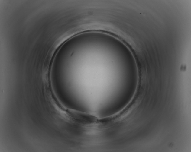 X0000096651513200802051142