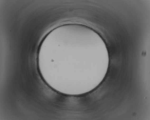 X0000096651514200802051142