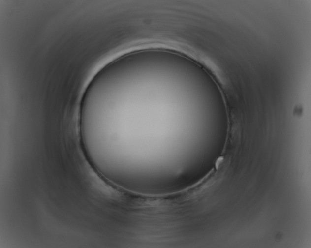 X0000096651516200802051143