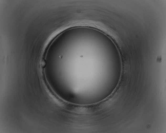 X0000096651517200802051143