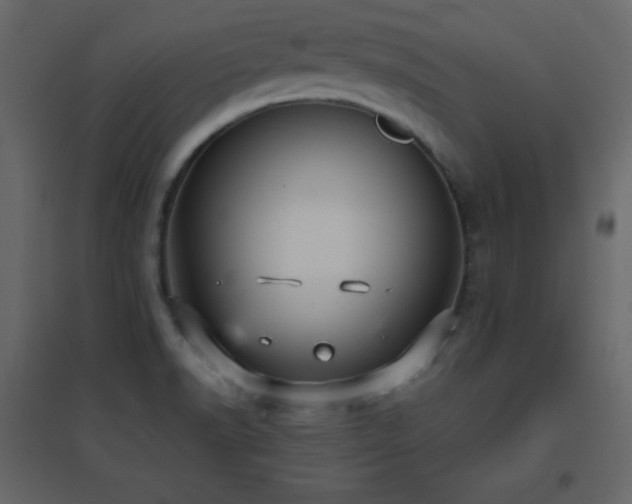 X0000096651518200802051143