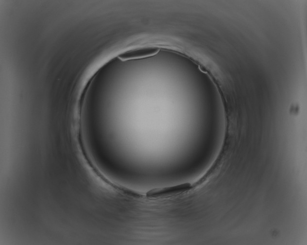 X0000096651520200802051143