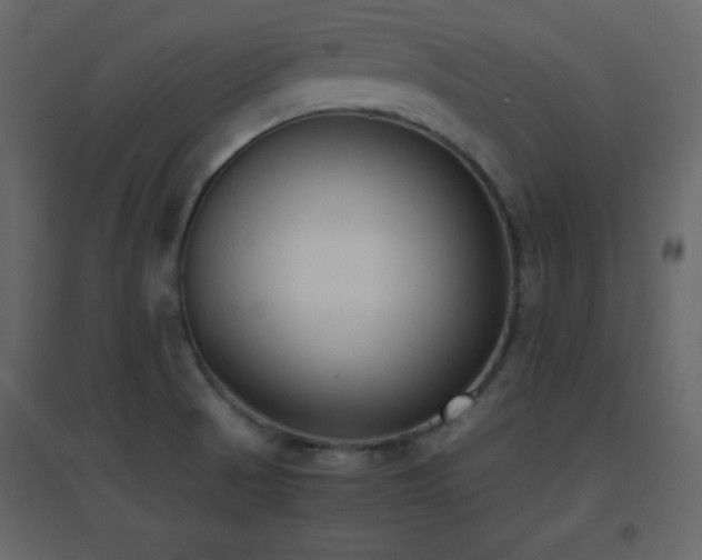 X0000096651521200802051143