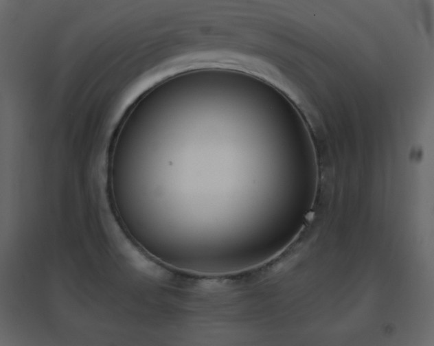 X0000096651523200802051143
