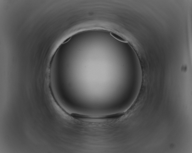 X0000096651524200802051143
